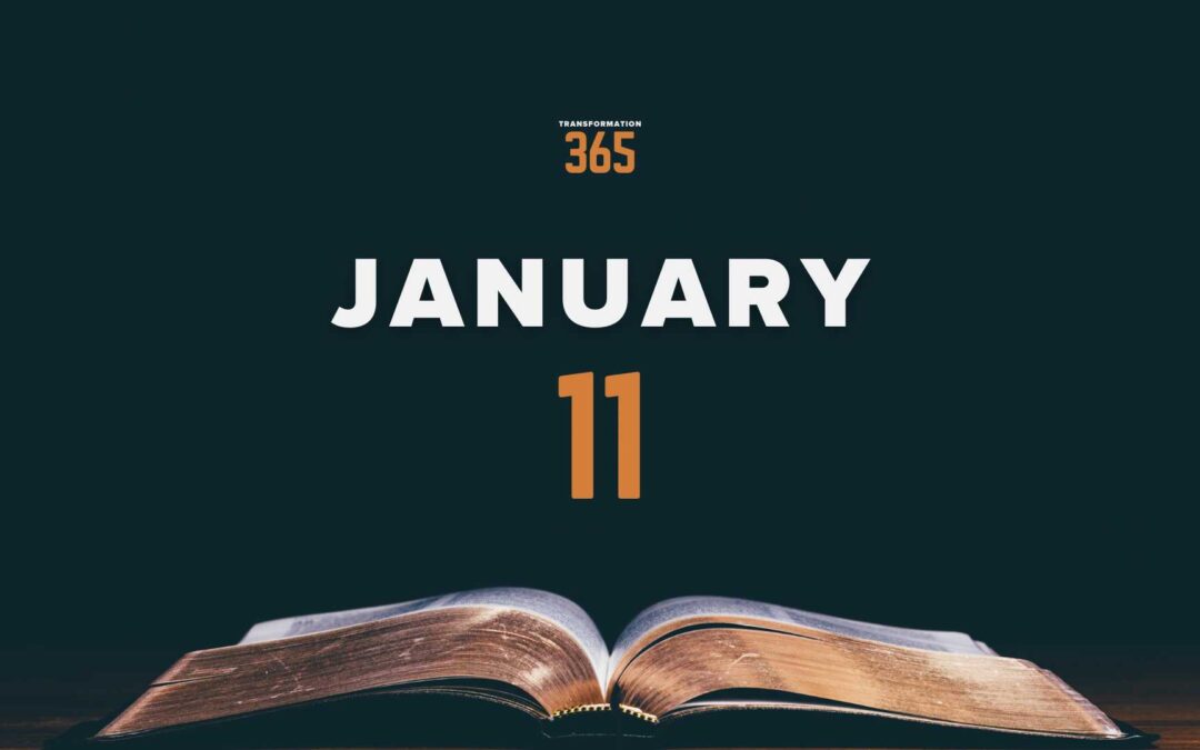 January 11 – Reading 11