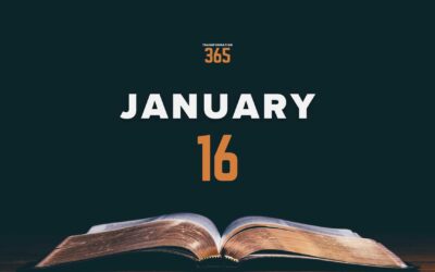 January 16 – Reading 16